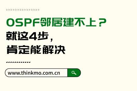 OSPF邻居建不上?就这4步,肯定能解决