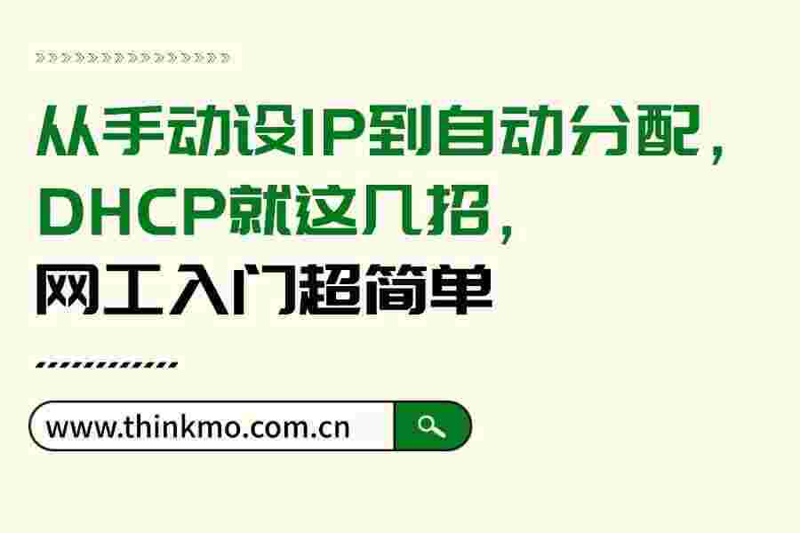 从手动设IP到自动分配,DHCP就这几招,网工入门超简单