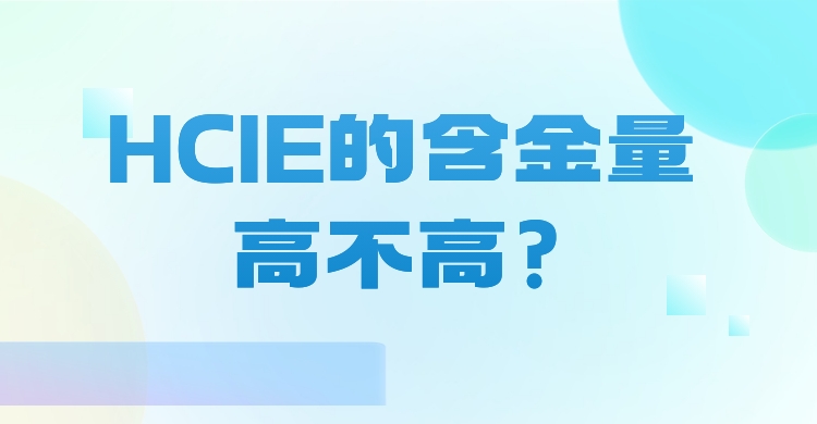 1700204517227902.jpeg 稿定设计-13.jpeg